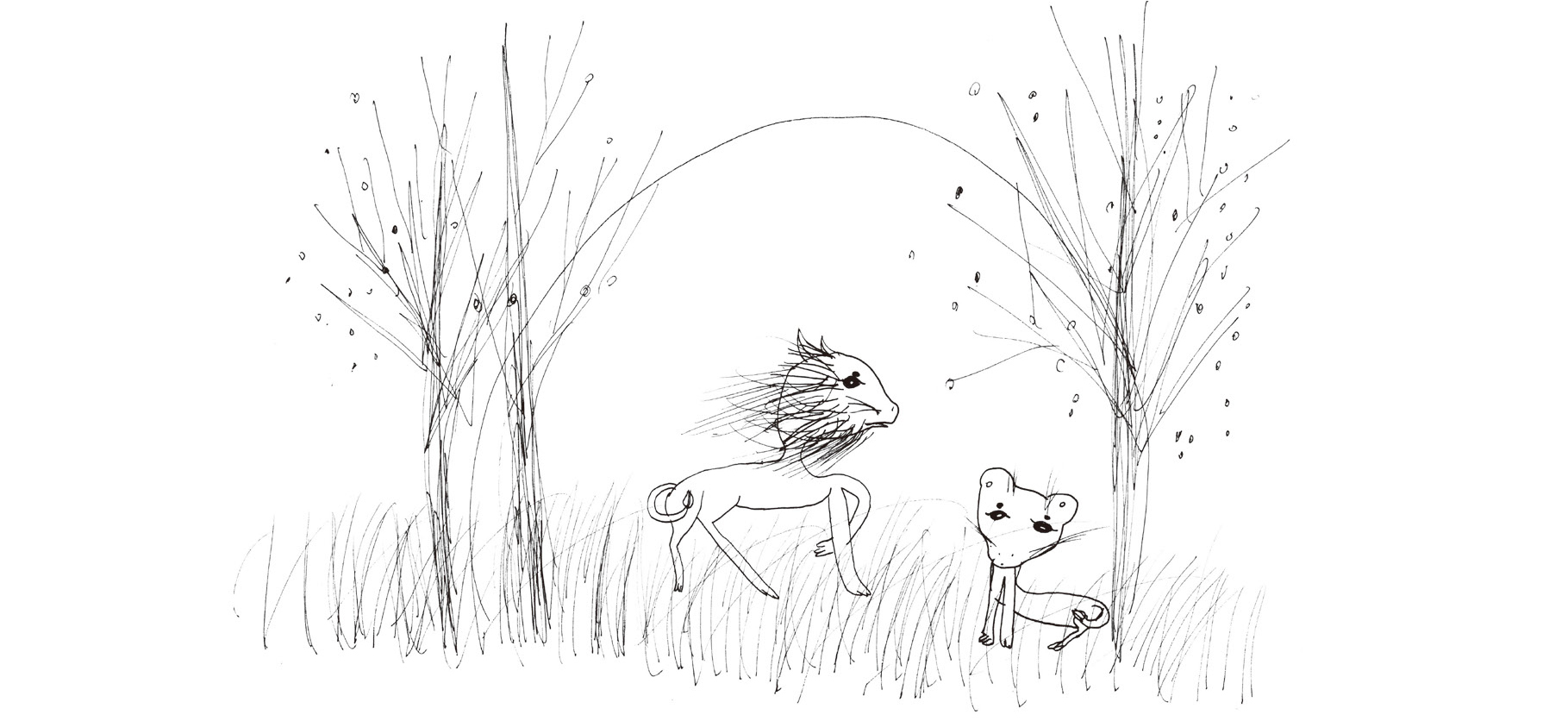 想象力：出版的第三次革命