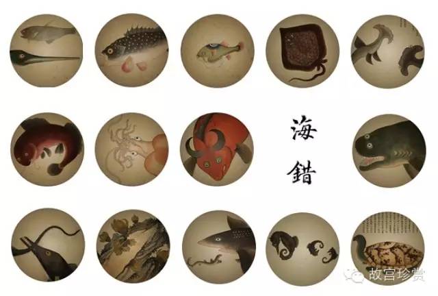 等待了三百年的博物奇缘