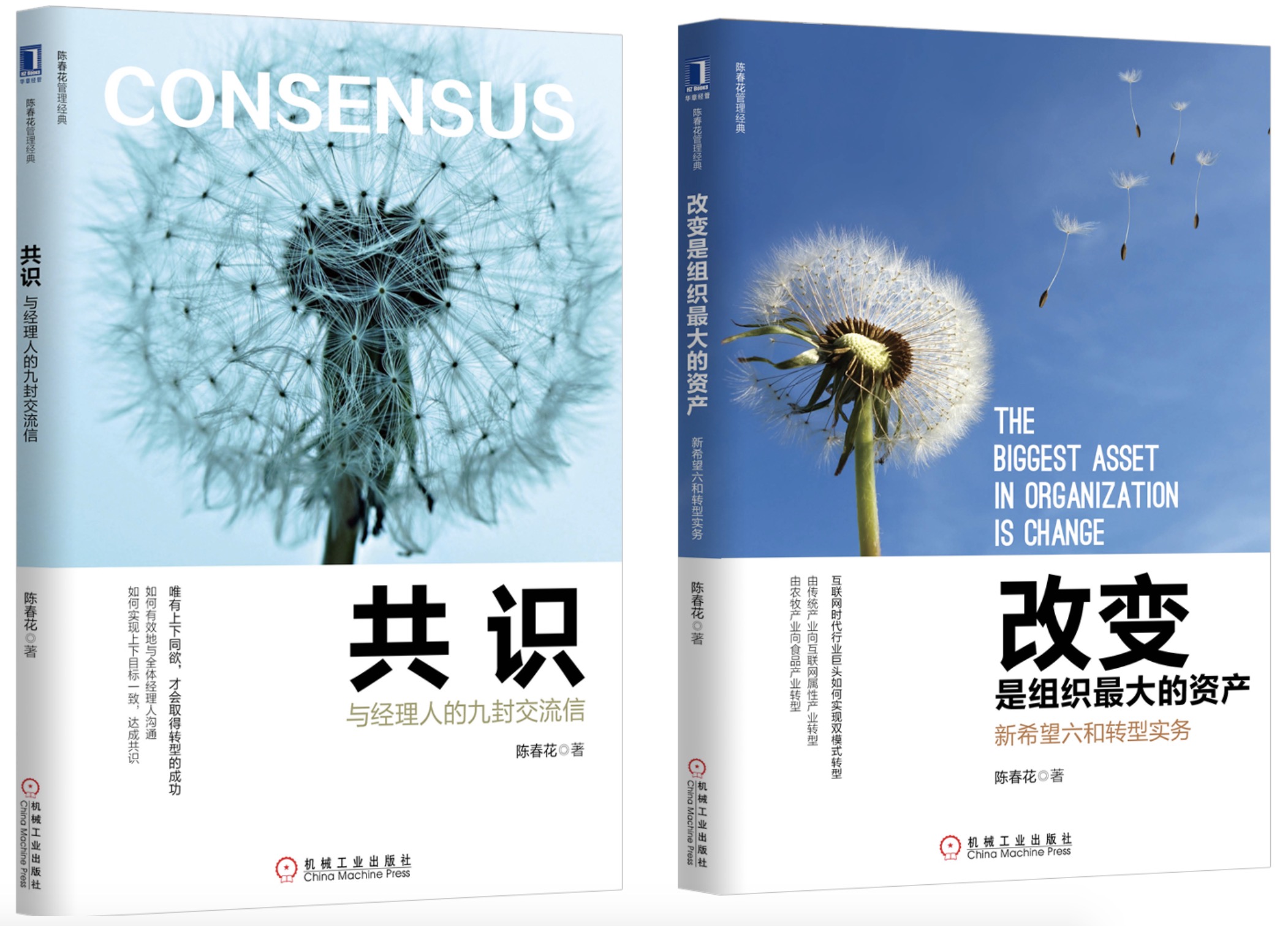 陈春花：改变，是组织最大的资产