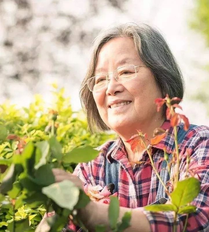 屋顶上的艺术家