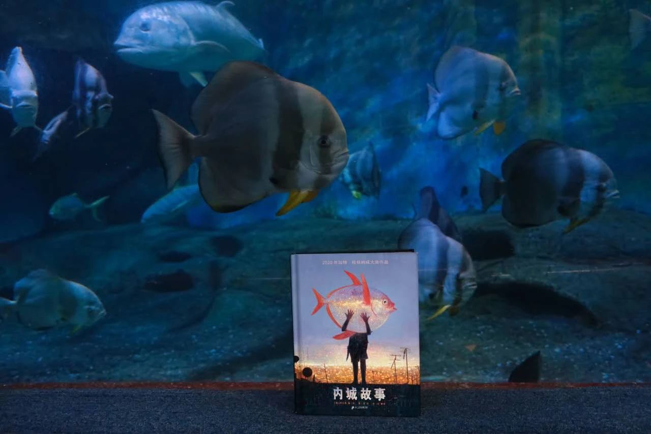 编辑是一个情绪成本很高的职业