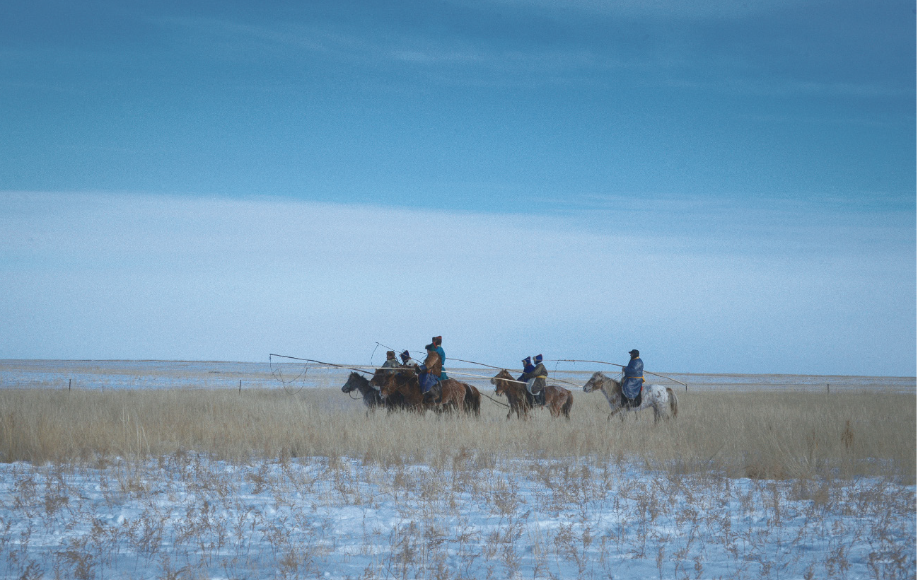 黑鹤：我的蒙古牧羊犬和草原