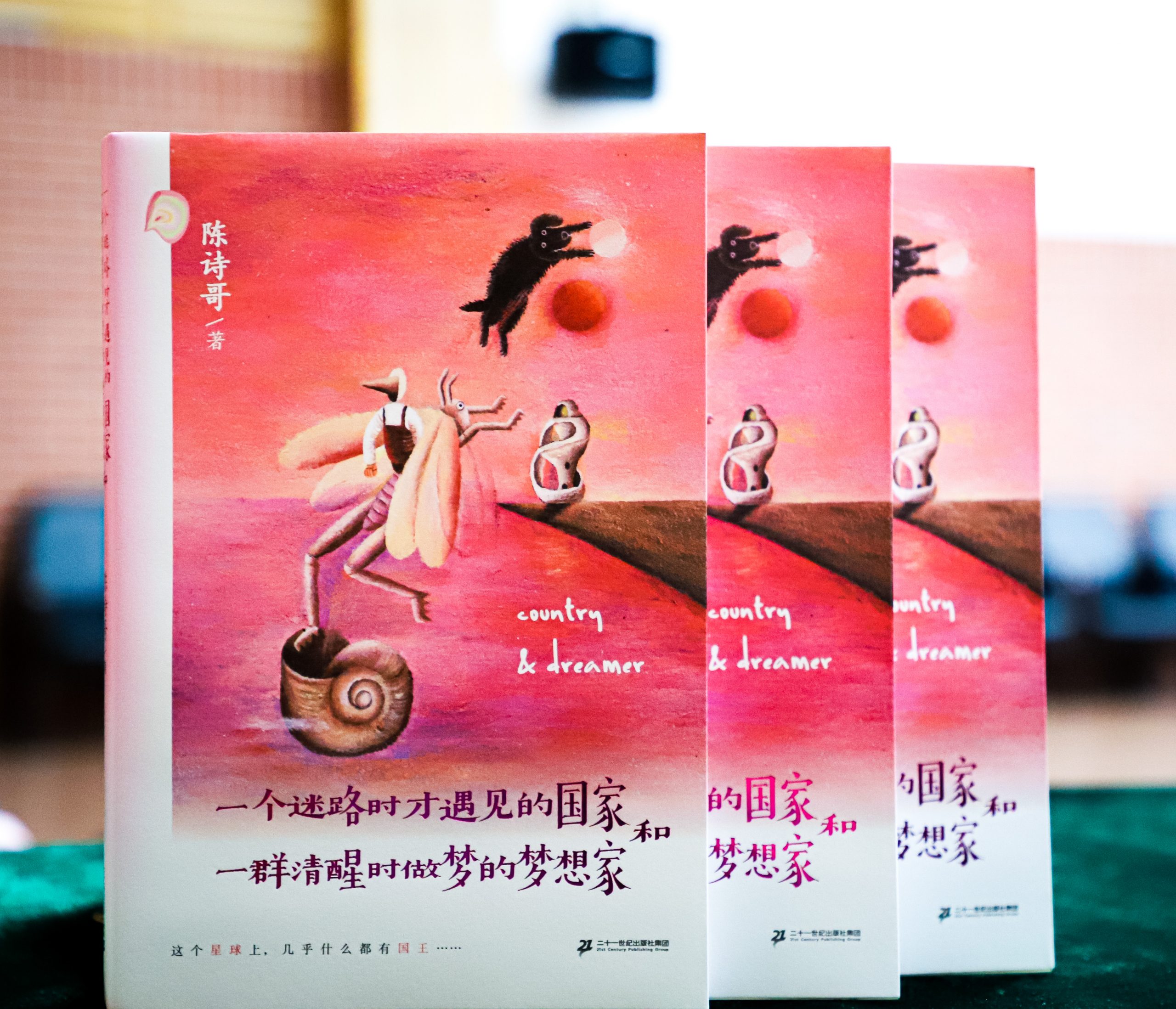 走进陈诗哥的童话国—— 《一个迷路时才遇见的国家和一群清醒时做梦的梦想家》研讨会在京举办