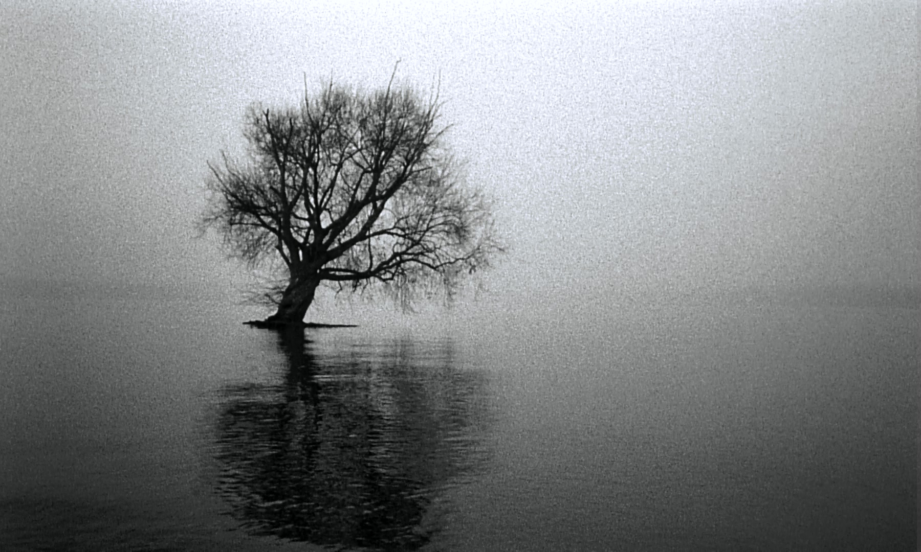 以写作回归记忆的远方