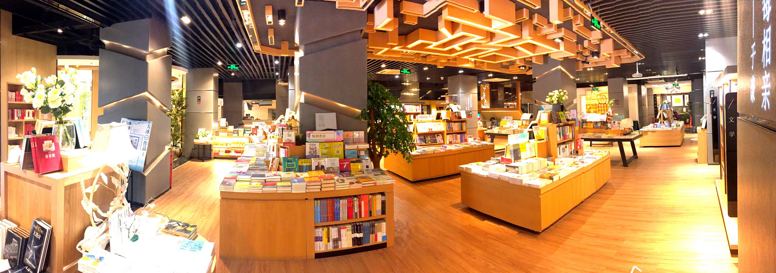 广东新华70华诞：摆渡文化再立潮头