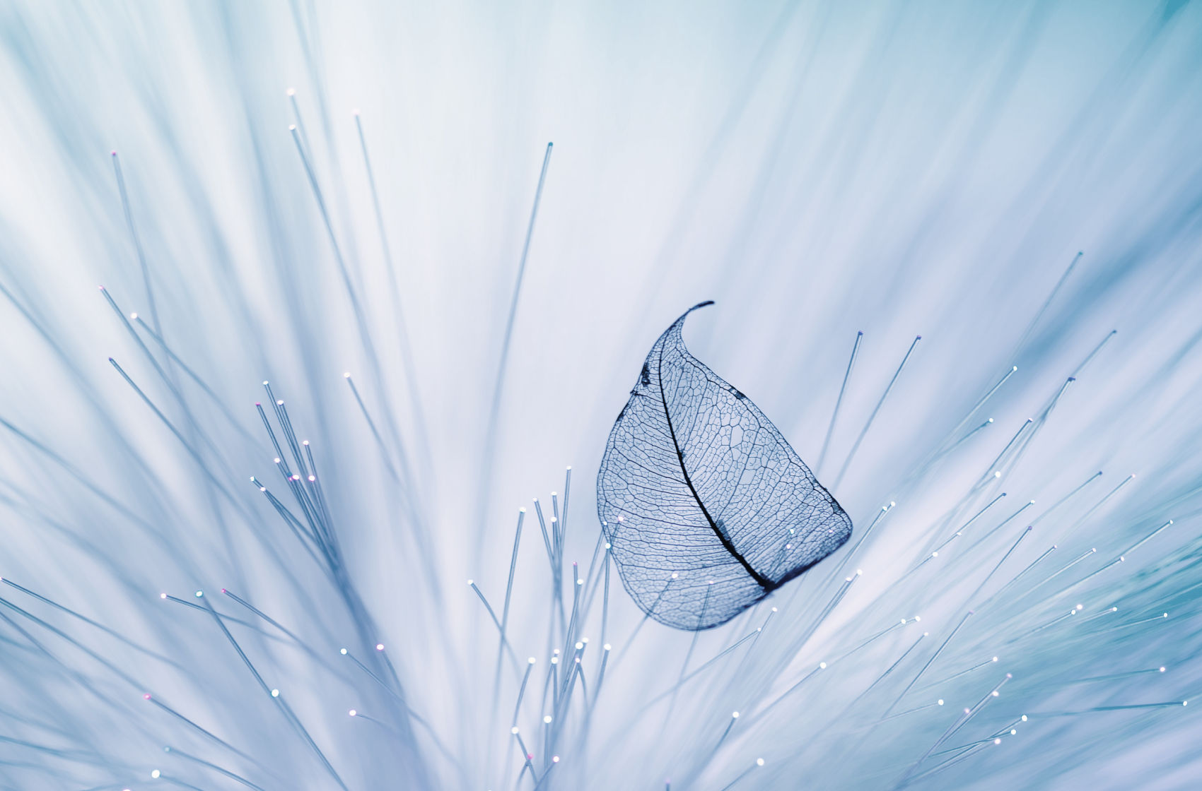 传承地方文明的薪火