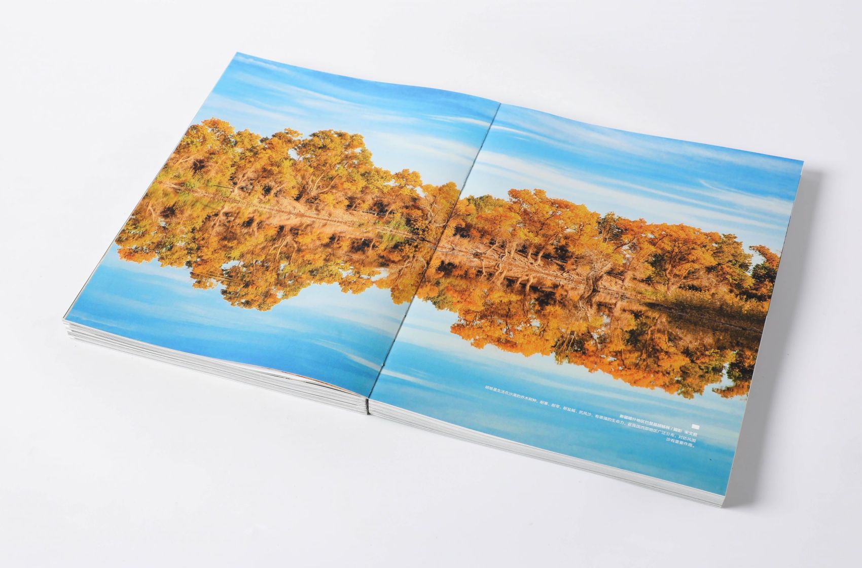 码洋超2亿的“这里是中国”系列为什么这么火？