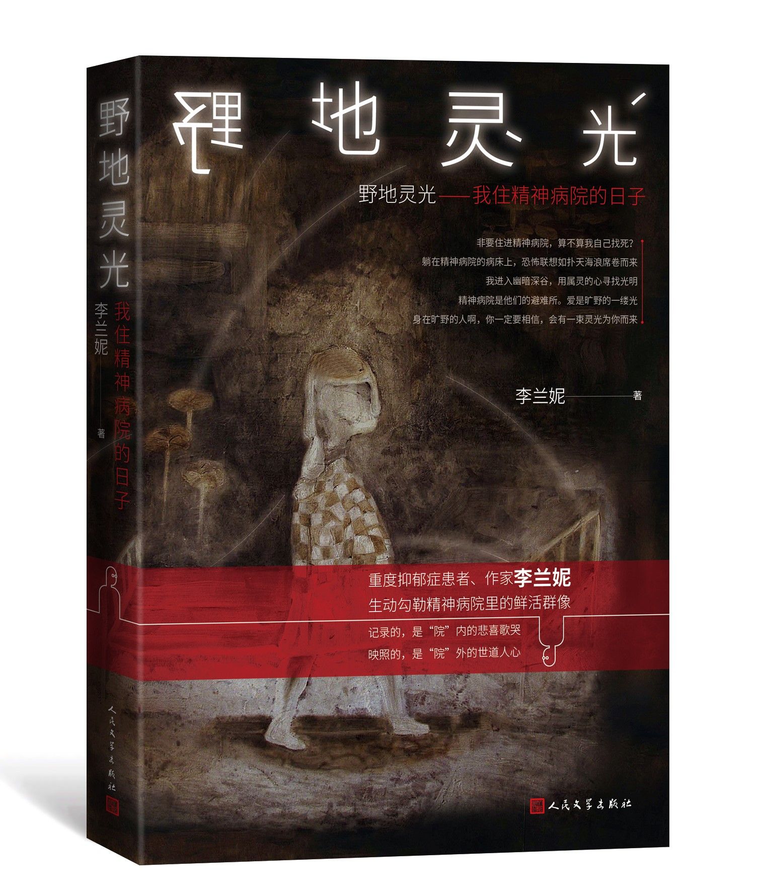 作家李兰妮记录精神病院的日子，《野地灵光》为旷野中的患者带去阳光