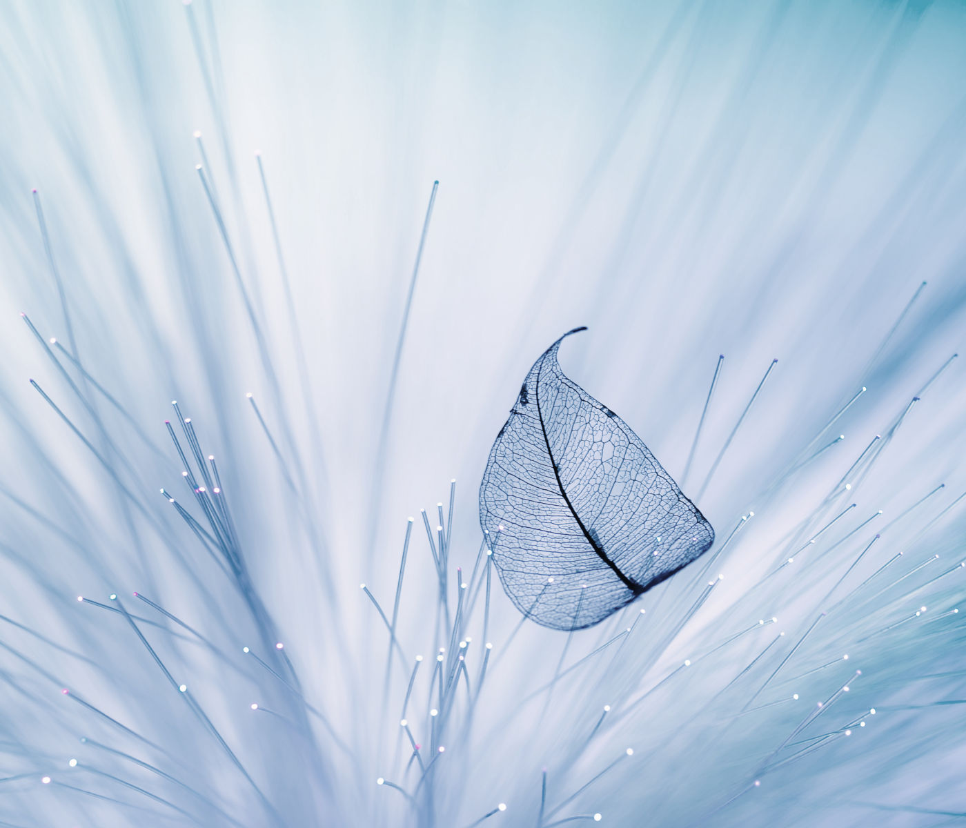 生而为人，不畏风不畏雨