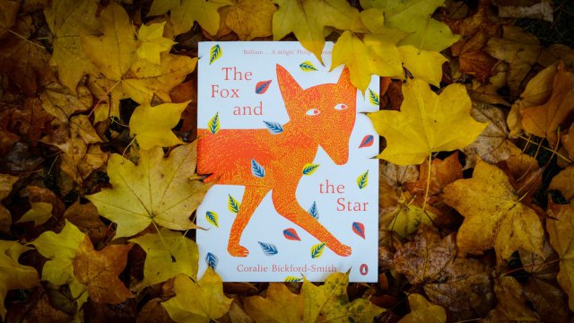 有一种成长是从勇敢走出丛林开始的