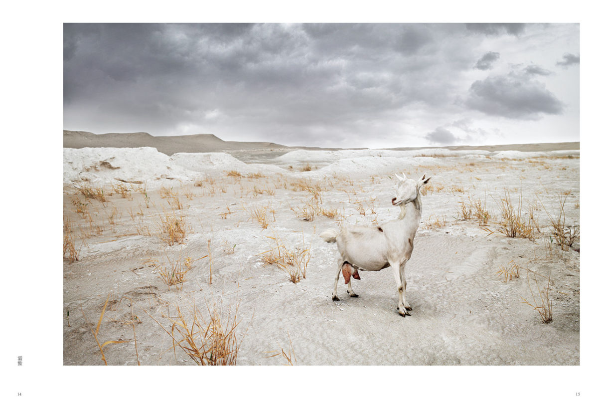 予载体以出版史学的重要性