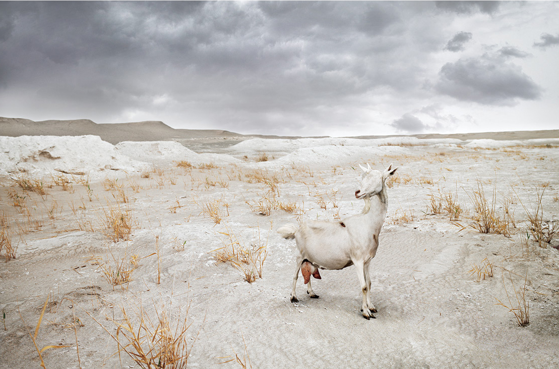 蓬勃生长是最美的教育样态