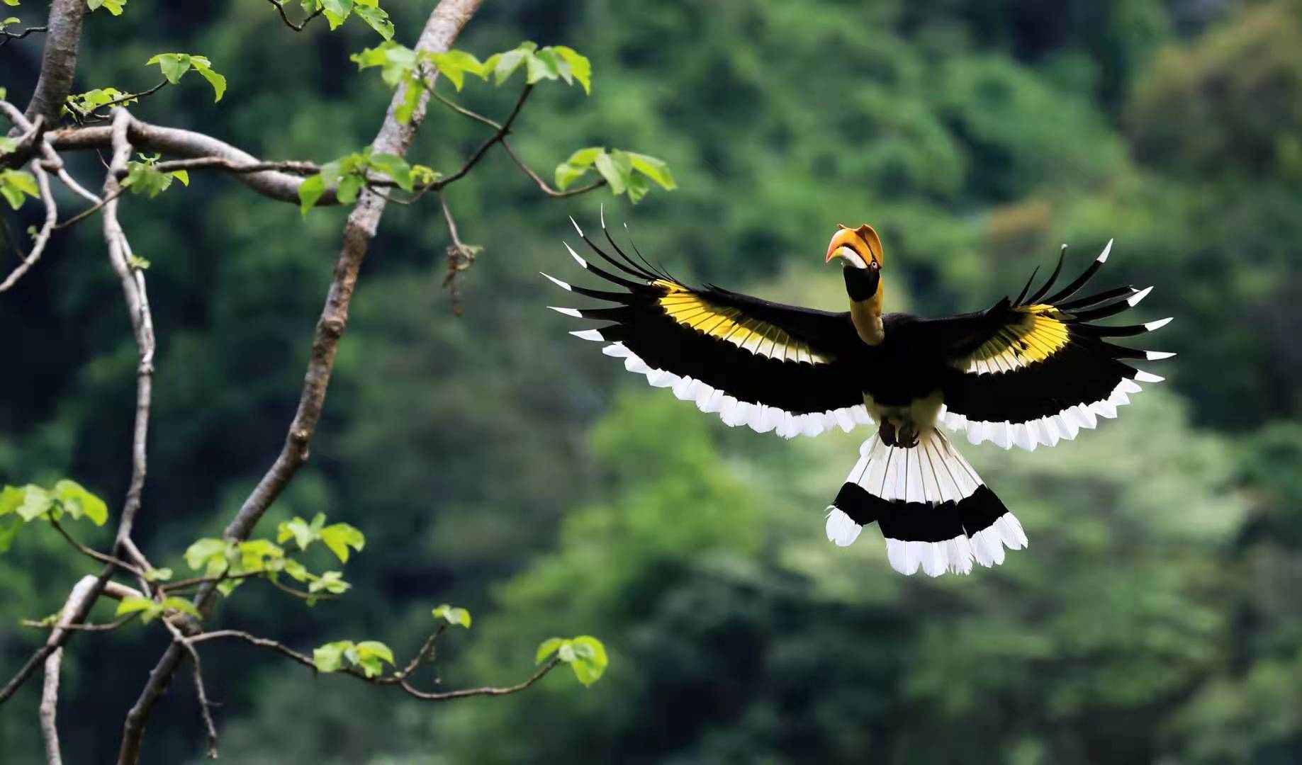 开卷少儿畅销书排行榜（2021年8月）