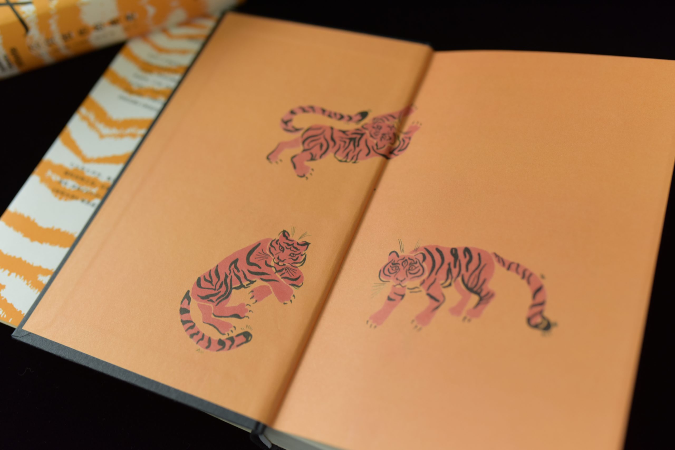 《三只忧伤的老虎》出圈笔记