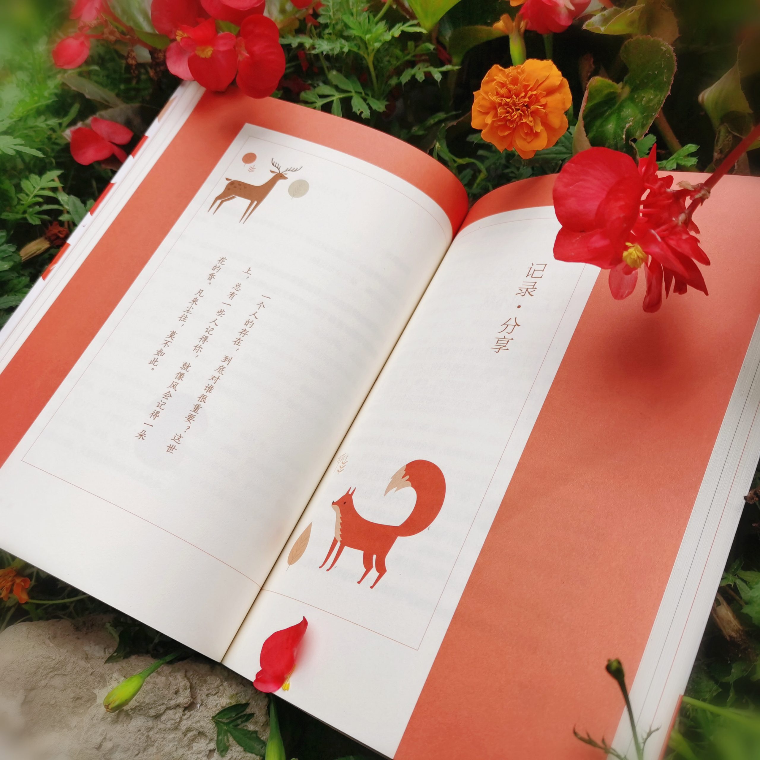 这六套“大语文”图书是如何卖出1.1亿码洋的？