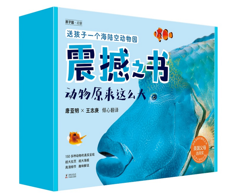 让孩子沉浸阅读的动物绘本，竟然大到离谱！