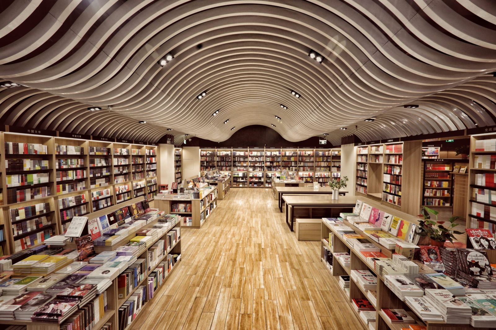 广东新华谢芸：加速构建广覆盖、多层次、多样态的文化服务体系