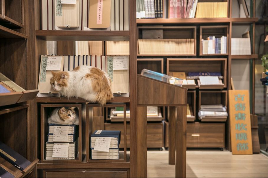布衣书局胡同：未来，书店作为“有书空间”的意味会越来越强