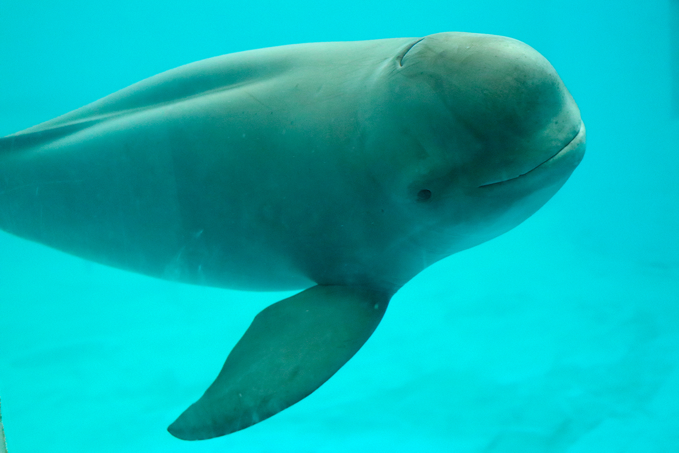 做好选题“导演”，深挖科技主题出版价值