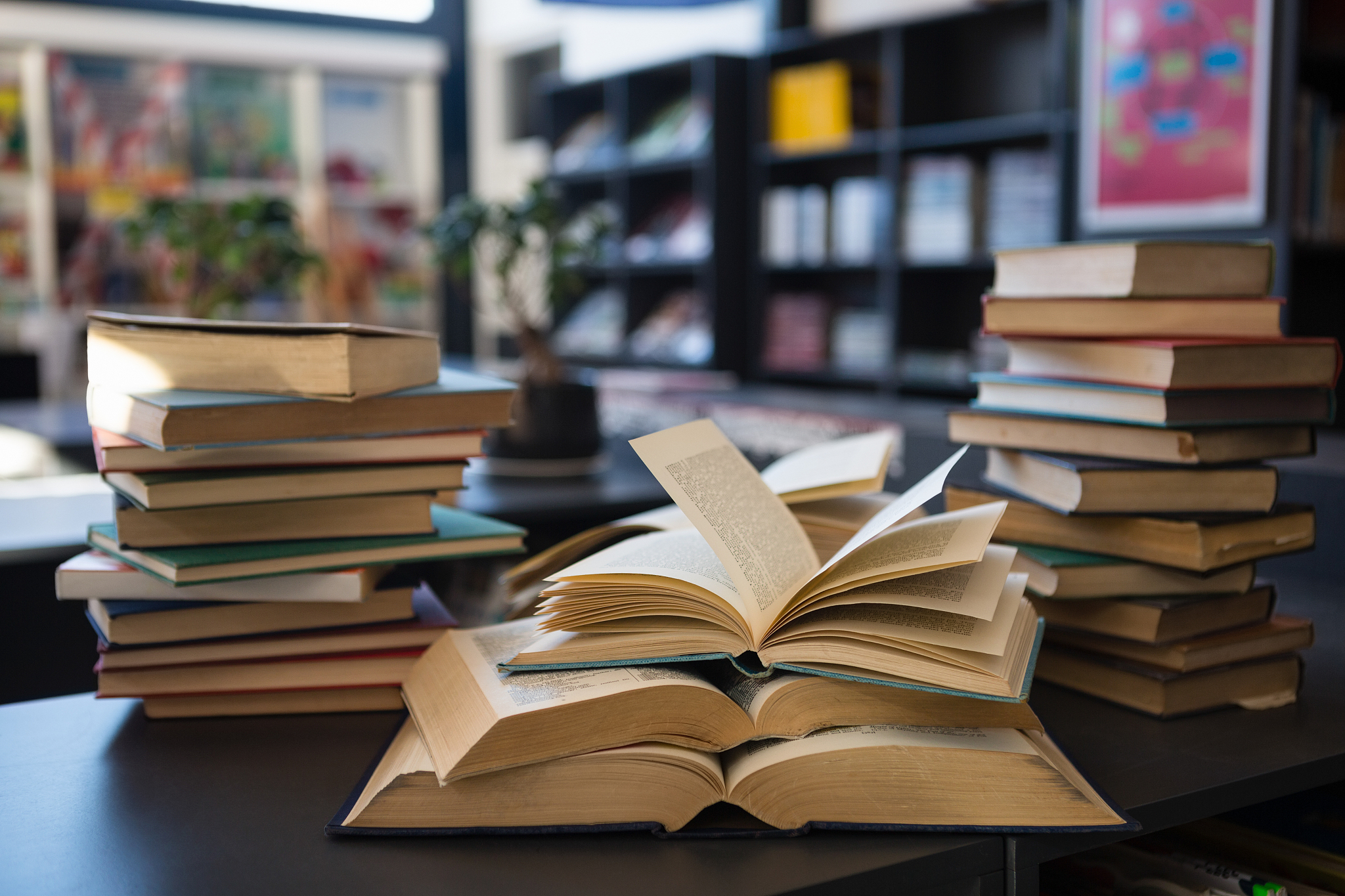 一个书店人闭店409天后的觉醒