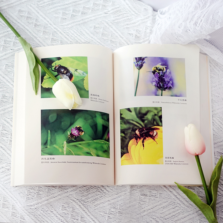 新手编辑第一本“无用之书”养成记