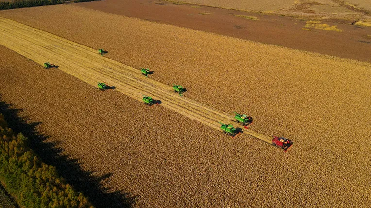 国以农为本，民以食为天