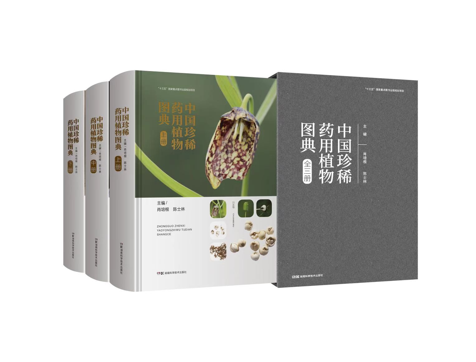 一部全面系统反映我国珍稀药用植物研究成果的煌煌巨著