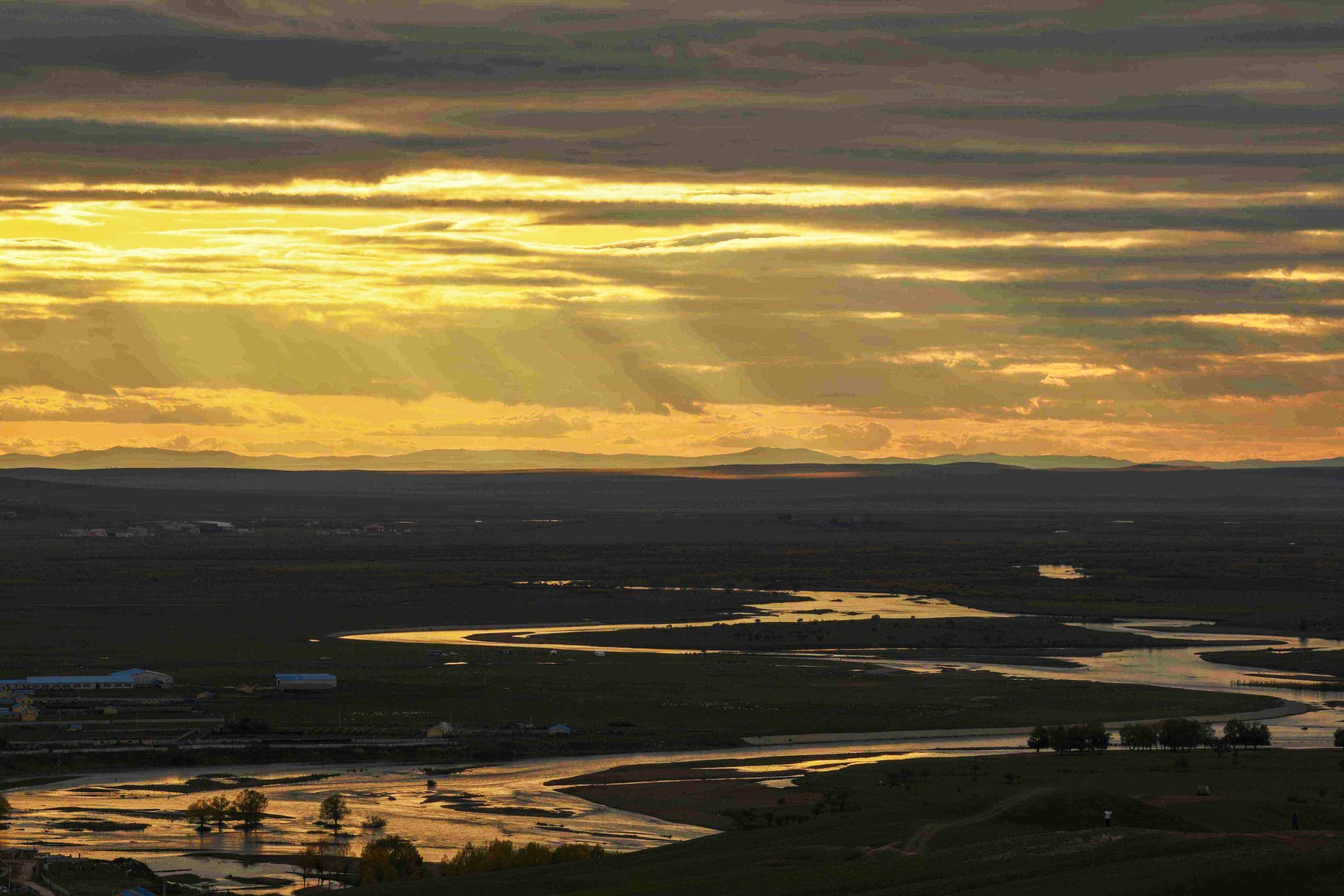 一首唱给普氏野马及其守护者的质朴赞歌