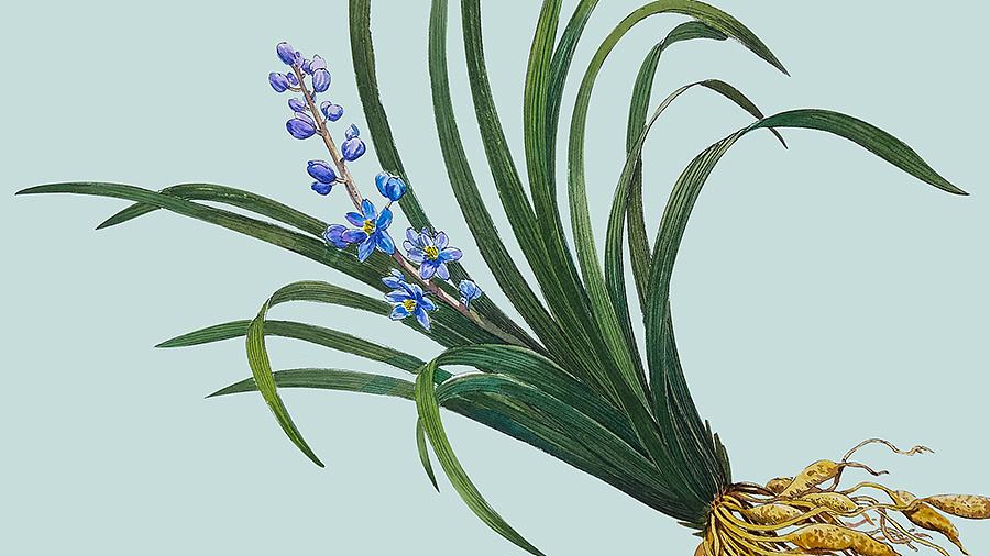 书写时代与传统