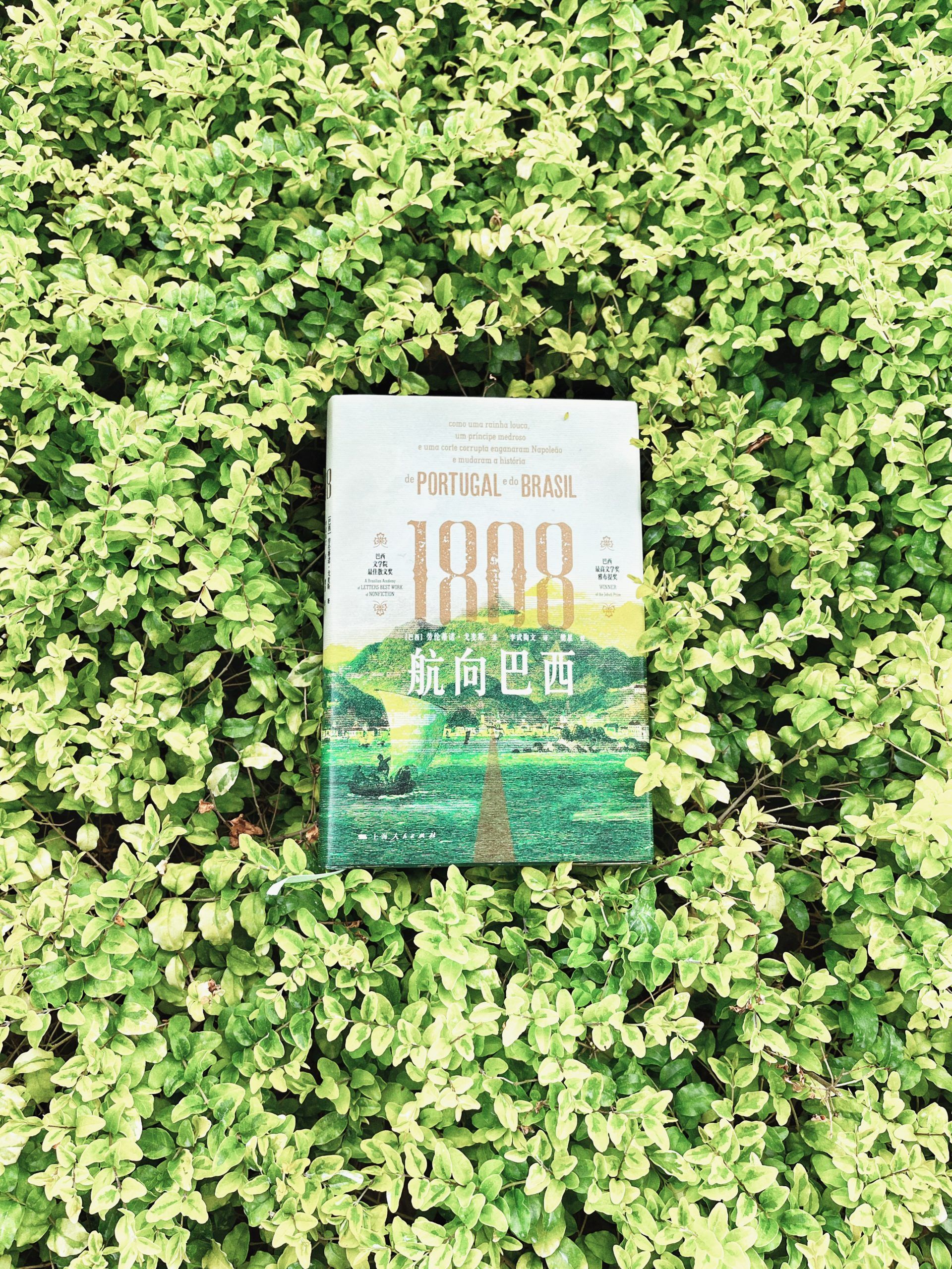 关于巴西，除了足球，你应该知道的还有这些|累计销量近200万册的《1808：航向巴西》上市