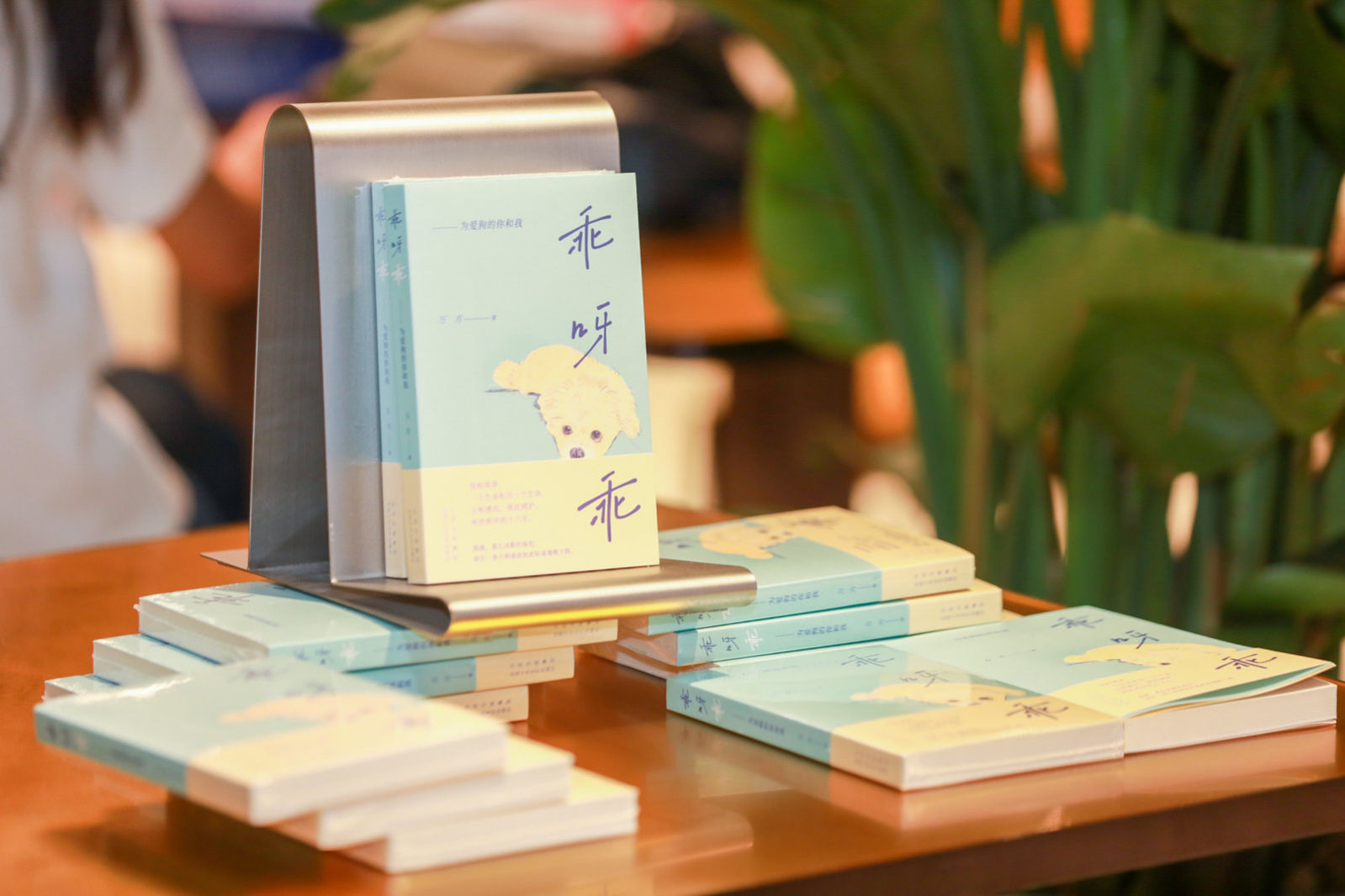 万方×文珍×季亚娅×悦悦：狗狗，夏天的爱与孤独 ——《乖呀乖：为爱狗的你和我》新书分享会在京举办