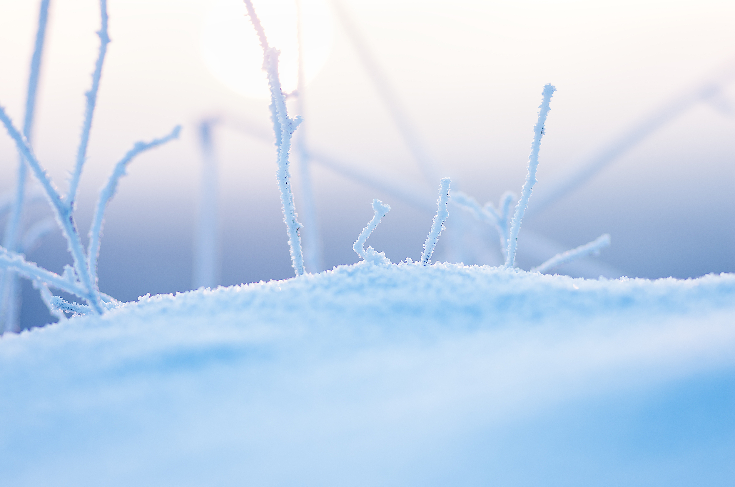 “双减”背景下，做一本有关“学习科学”的书