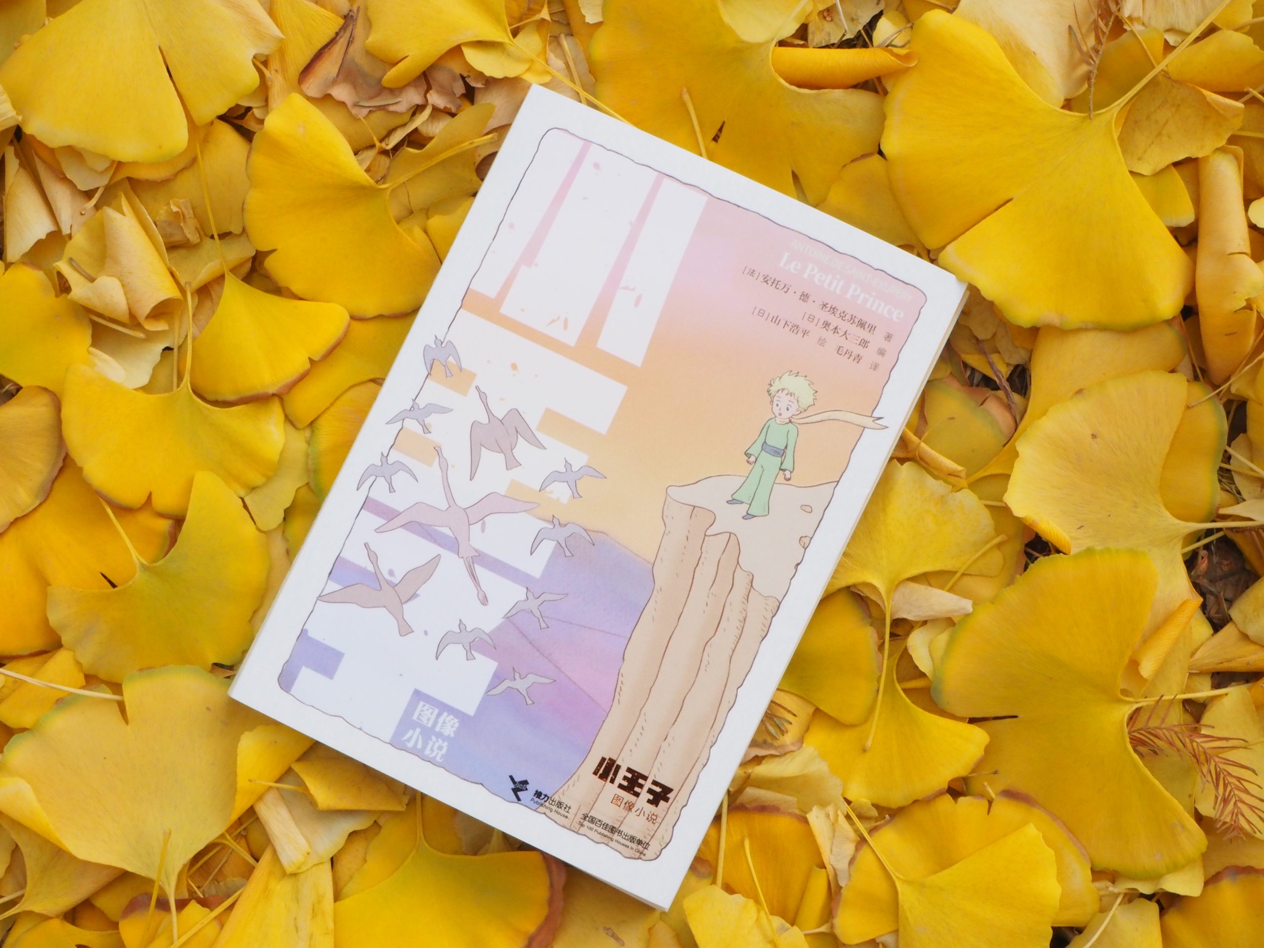 “这个冬天，没有人不需要安慰”| 《小王子（图像小说）》新书上市