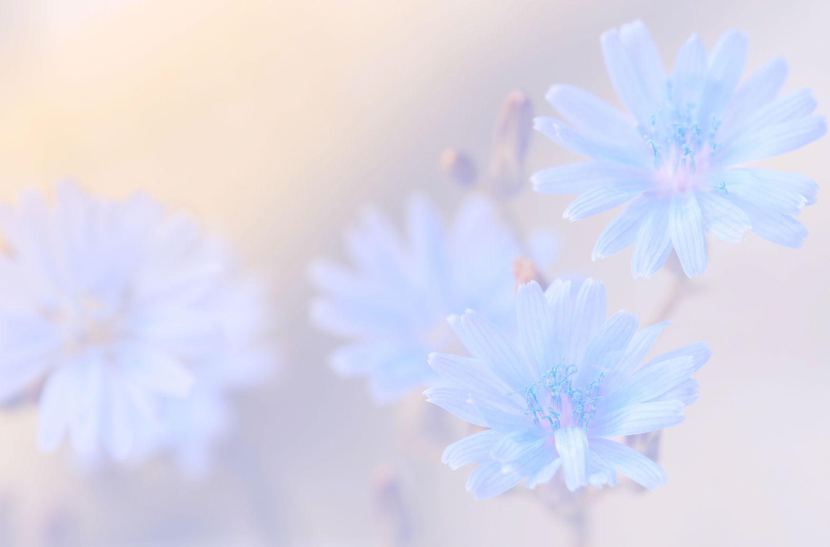 2022年10—11月书业抖音直播带货&短视频运营影响力指数排行榜