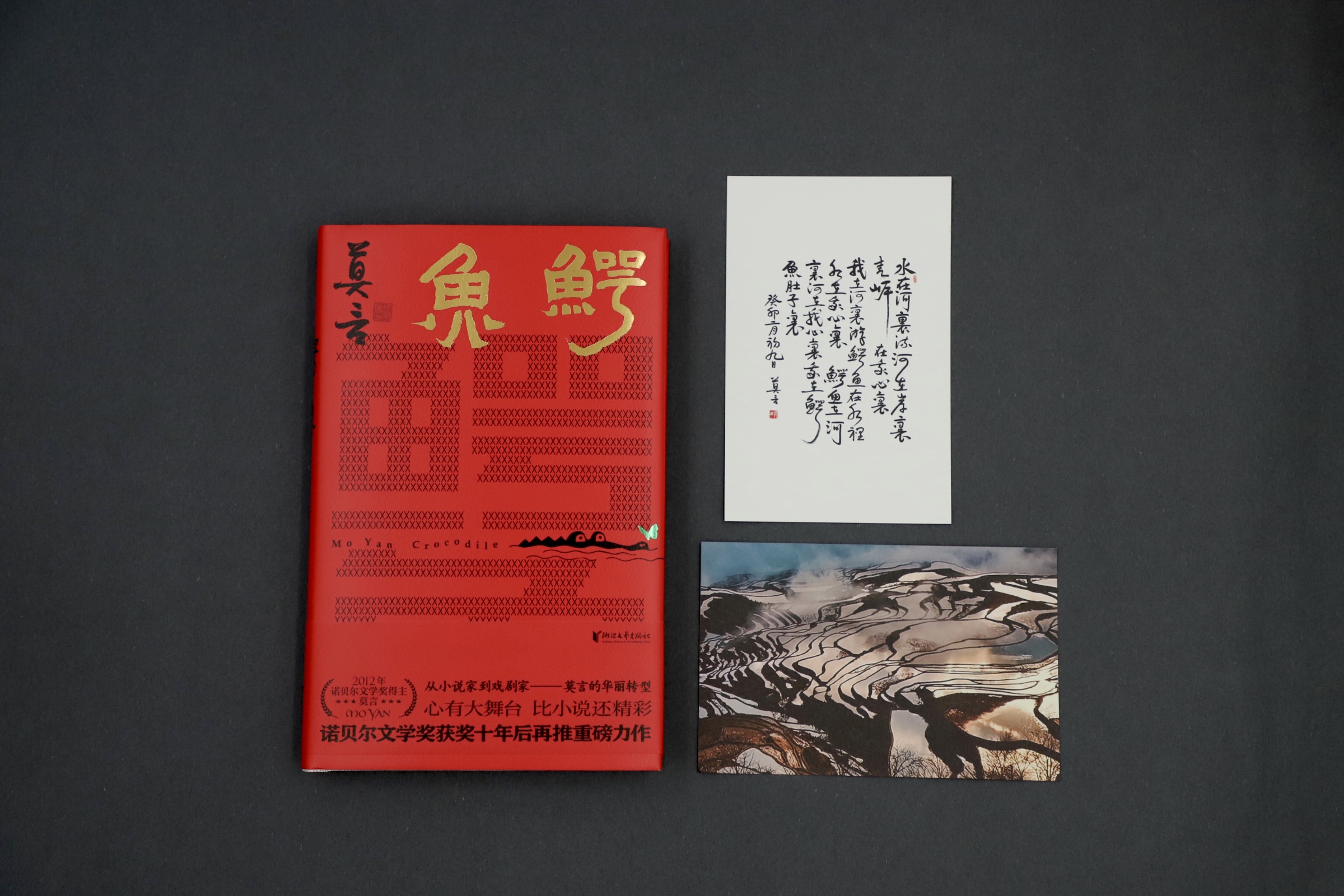 见证誓言的华丽转型之作|莫言重磅新书《鳄鱼》上市