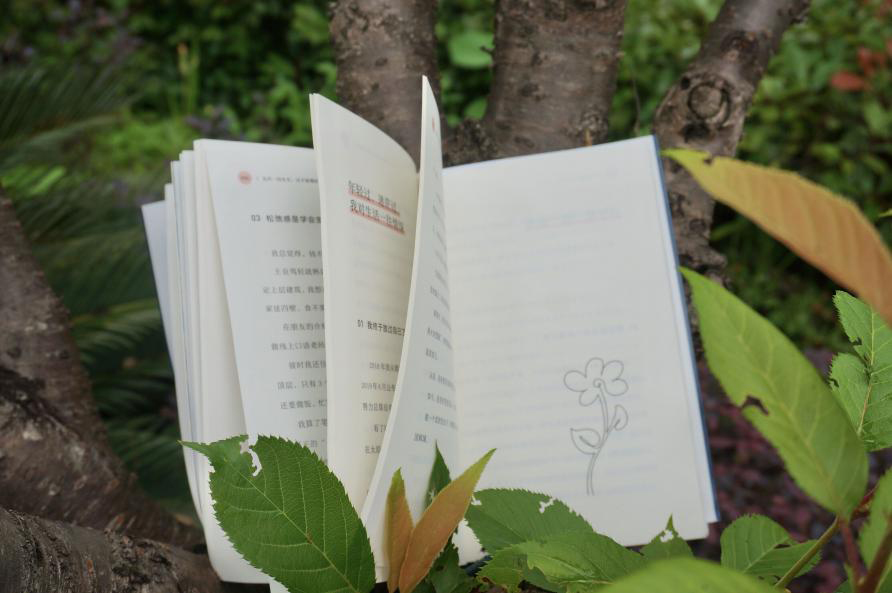 营销没有魔法，我们只是很努力