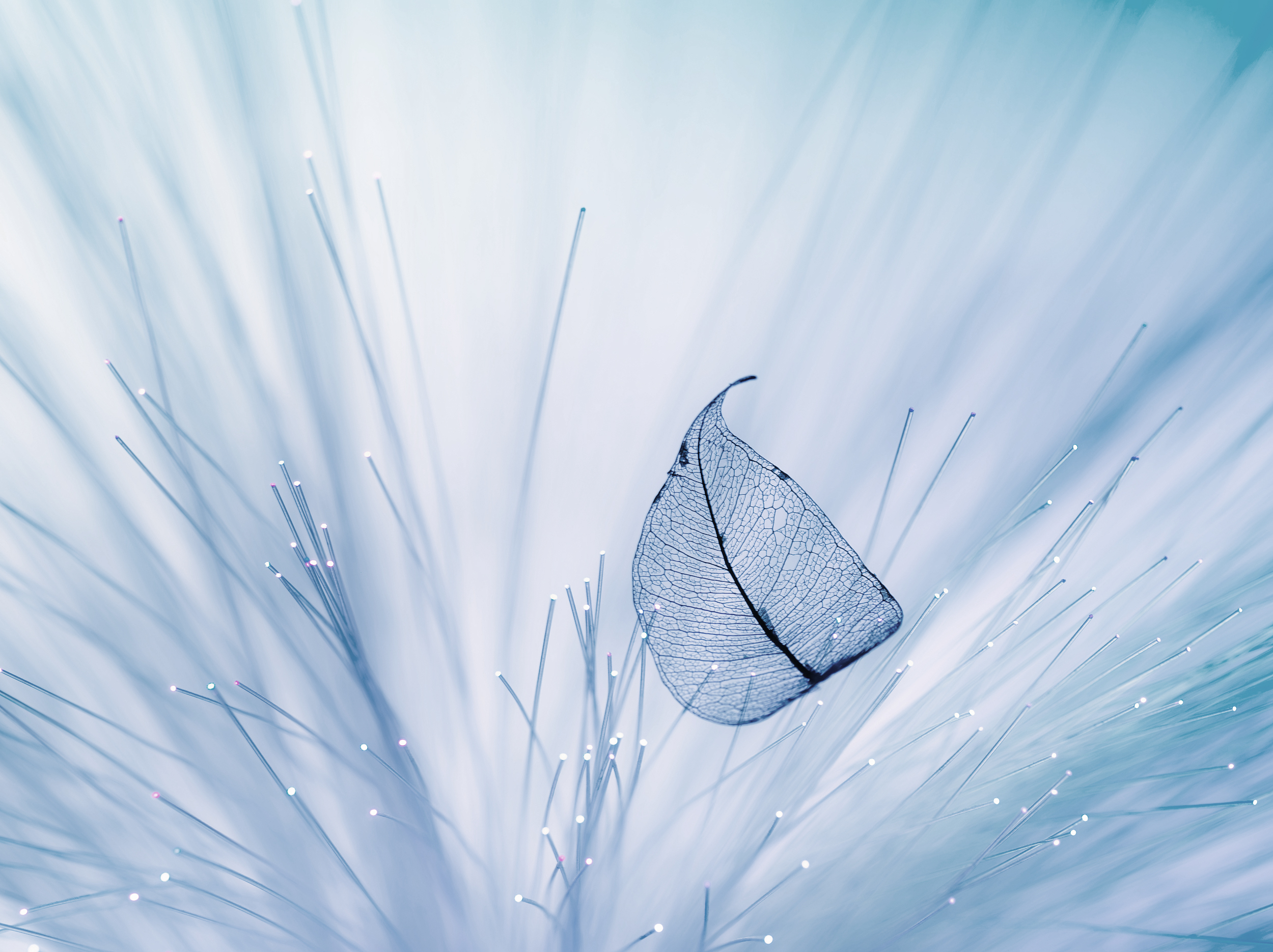 开卷非虚构畅销书排行榜（2023年5月）