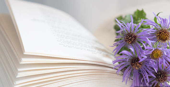 书写网络文学的“她宇宙”