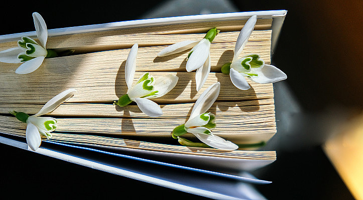 工程创造了什么