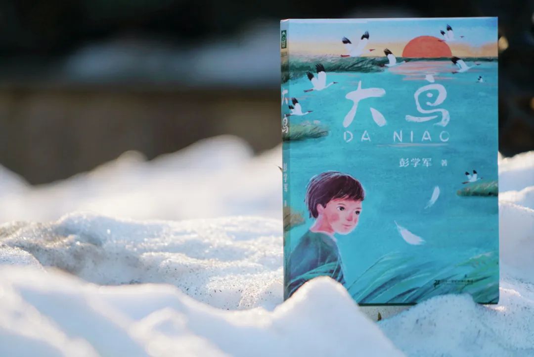 绿水青山的时代坚守 鹤舞中国的生态书写 ——“新时代生态儿童文学的童年书写论坛暨《大鸟》作品研讨会”在京举行