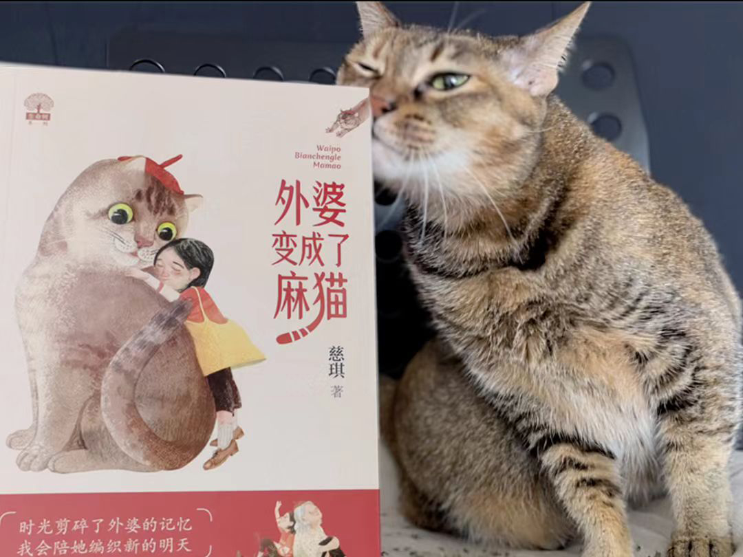 儿童文学如何承载阿尔茨海默病