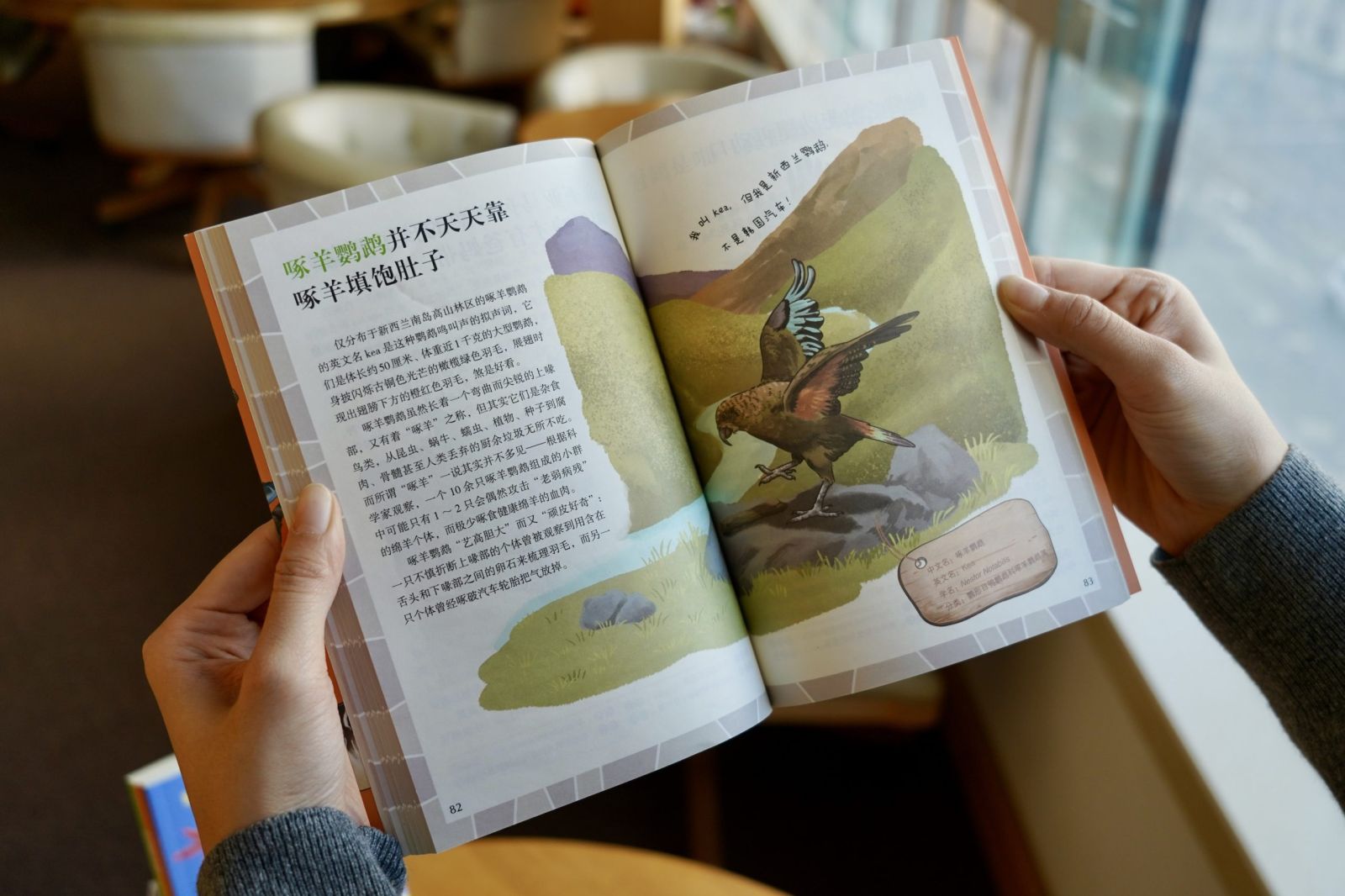 我写作《不可思议的动物世界》的那些事儿