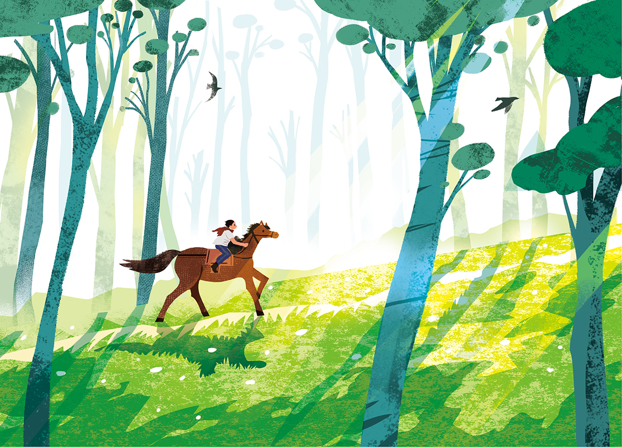 穿越族群经验、文化、生态的返乡之旅