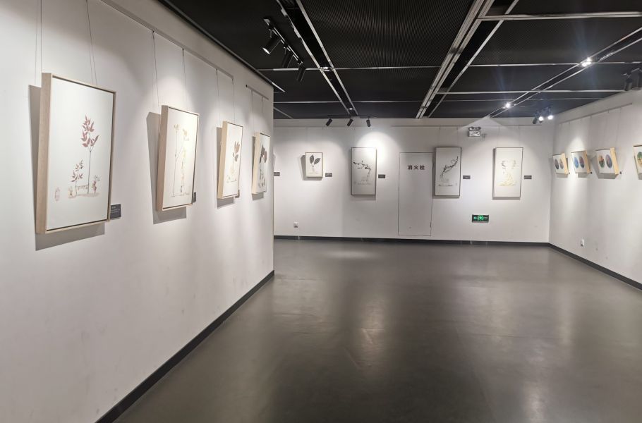 “奇思妙想压花艺术展”在国家植物园科普馆开幕