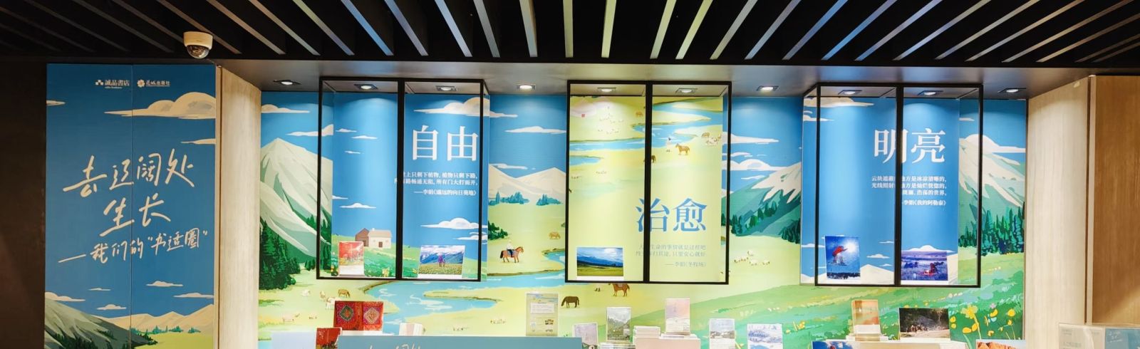 《我的阿勒泰》影视播出一周年纪念版图书出版，相关文学展陈在苏举办