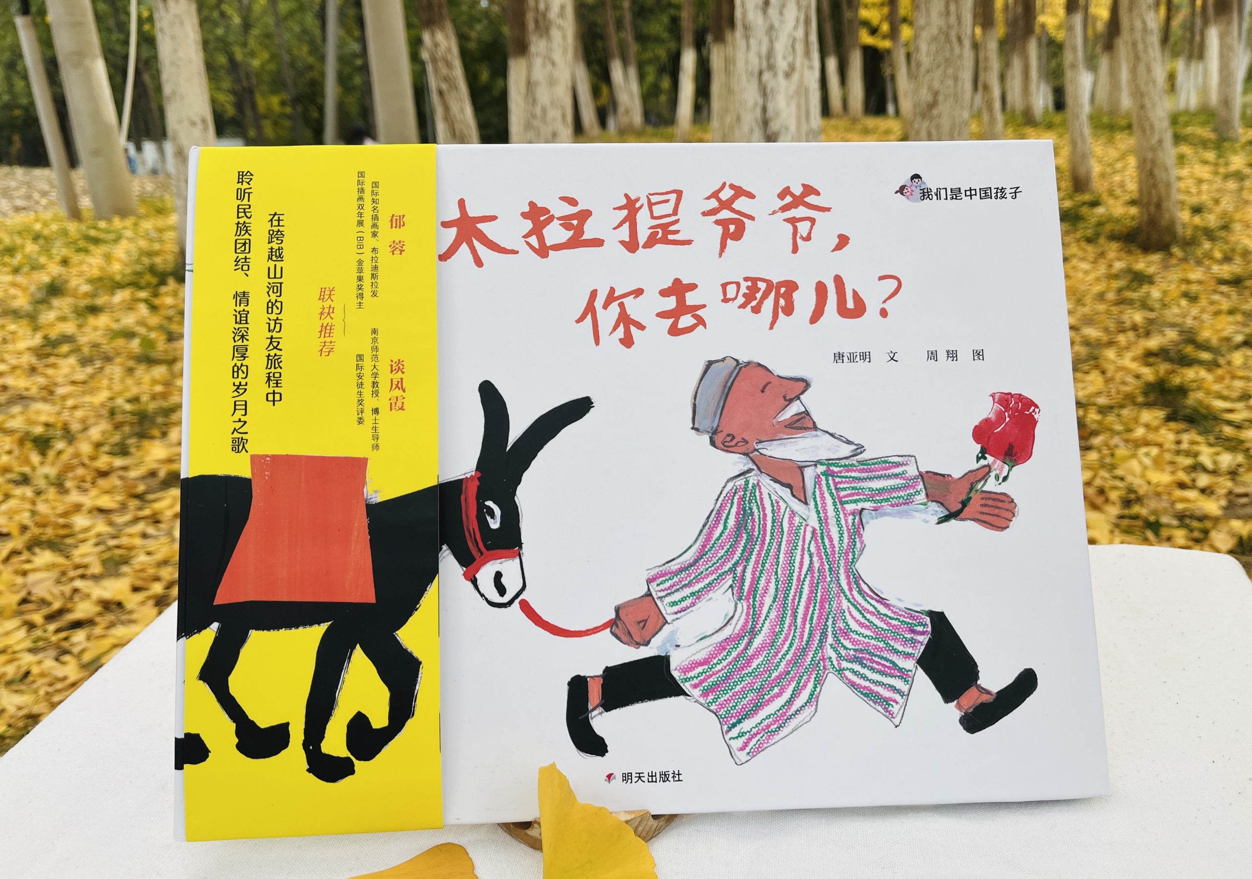 一场跨越山河的纸上之旅