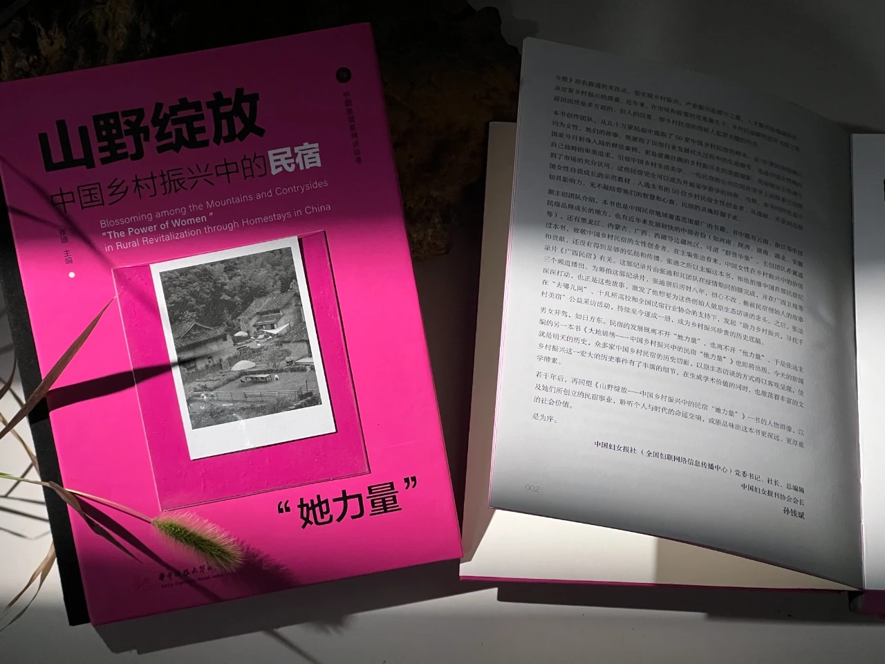 柔韧的力量与乡村振兴中民宿业的重塑