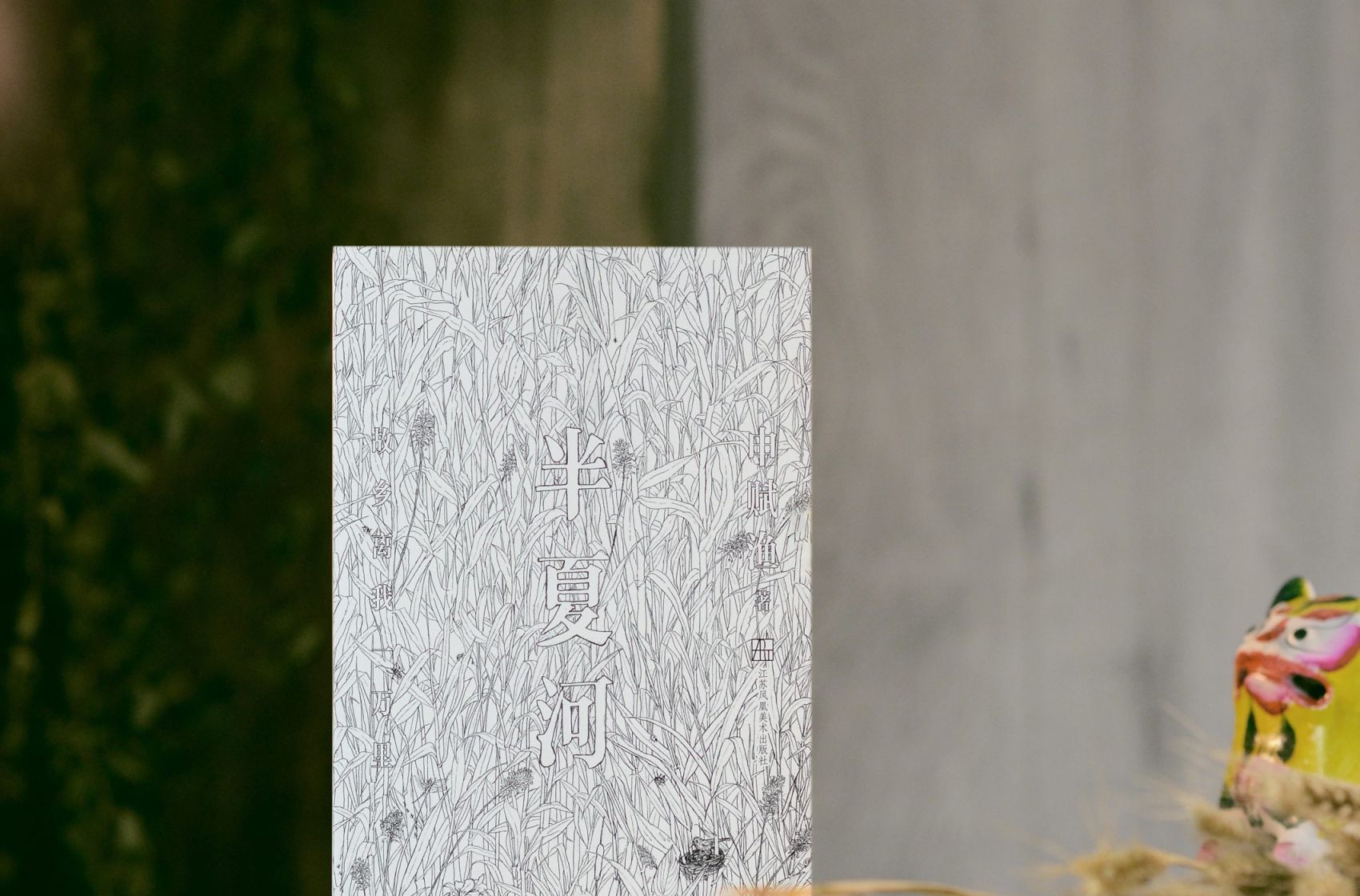 申赋渔《半夏河》阅读分享会在南京举行