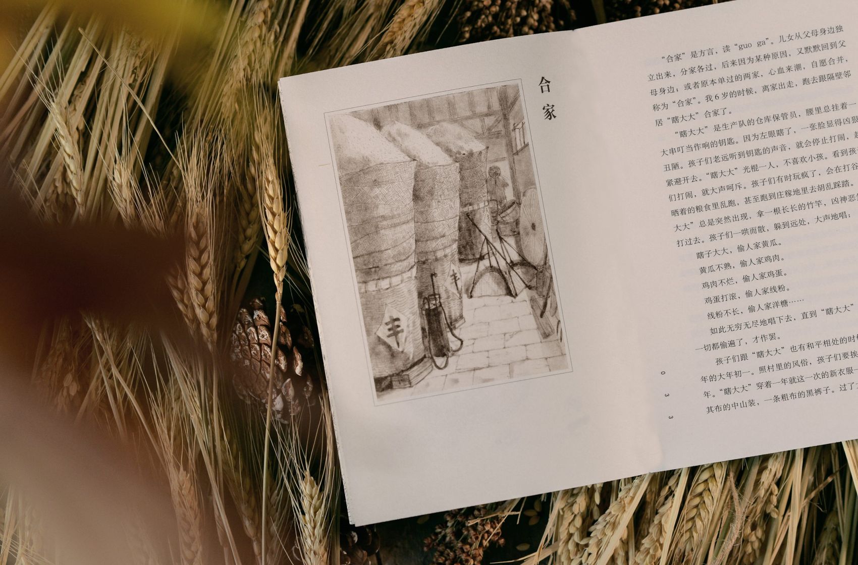 申赋渔、朱赢椿共话文学与设计的灵魂交响