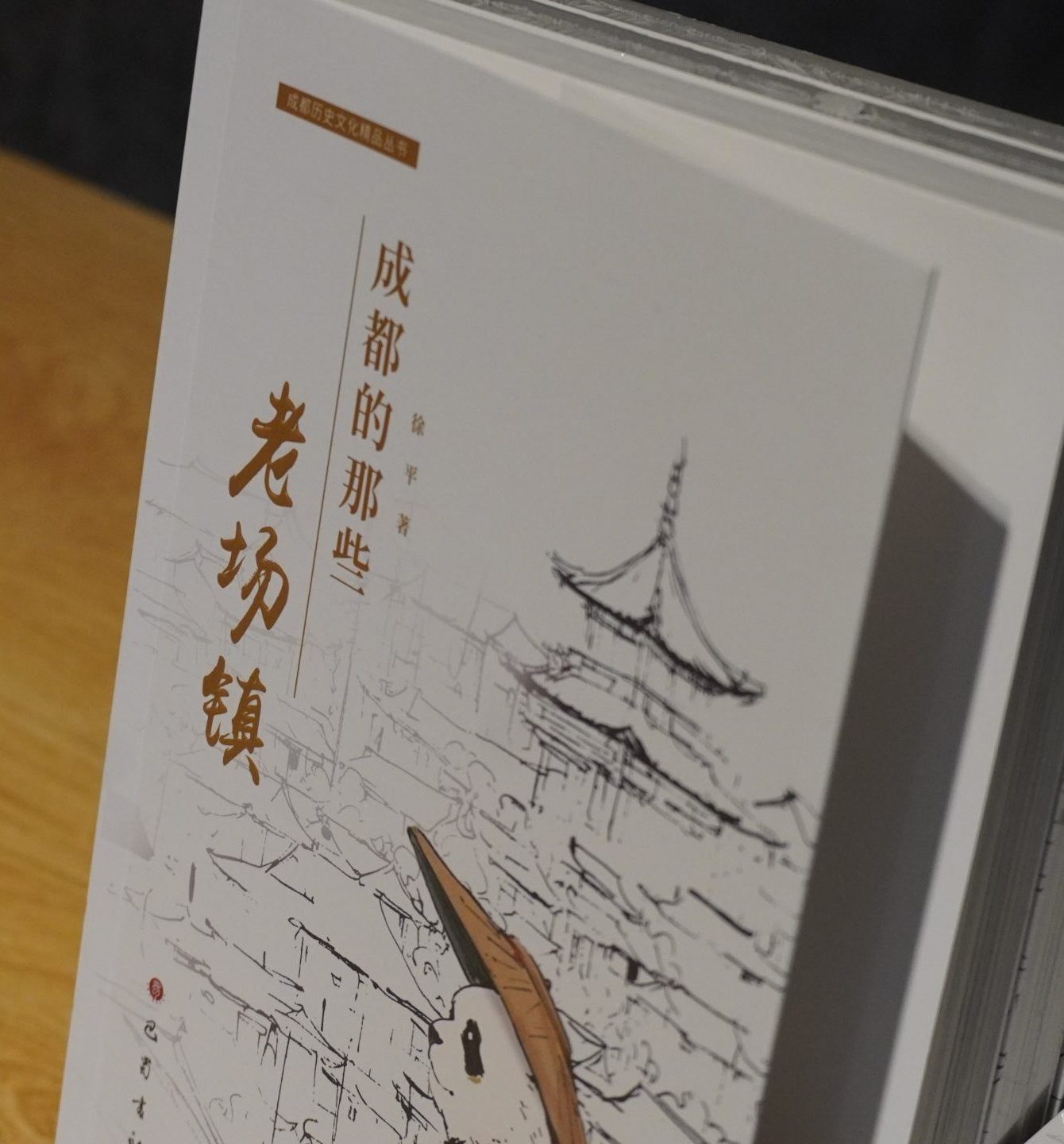 寻味成都宝藏场镇，解锁巴蜀别样风土 ——《成都的那些老场镇》新书分享会成功举办